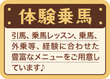 体験乗馬。引馬、乗馬レッスン、乗馬、外乗等、経験に合わせた豊富なメニューをご用意しています。