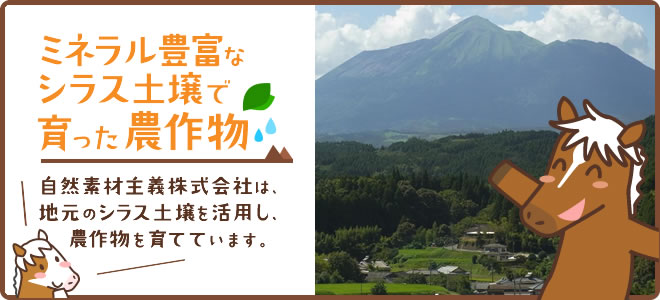 ミネラル豊富なシラス土壌で育った農作物。自然素材主義株式会社は、地元のシラス土壌を活用し、農作物を育てています。